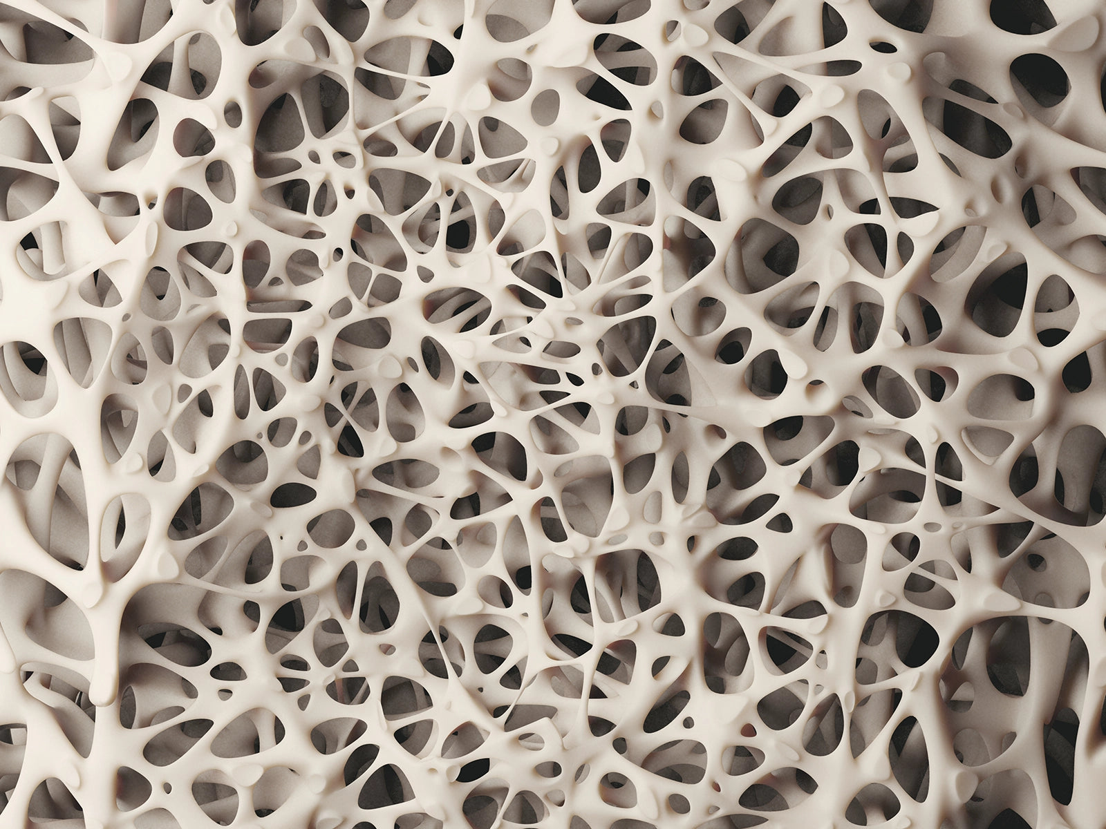 Dense, healthy bone structure